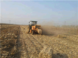 Crusher Type Square Balers