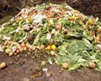 Food Residue,Daily Trashes